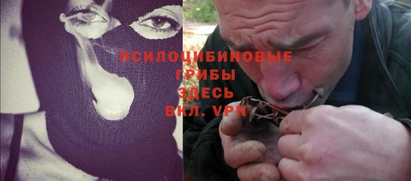 spice Алексеевка