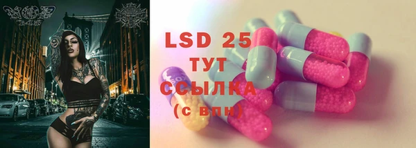 хмурый Алзамай