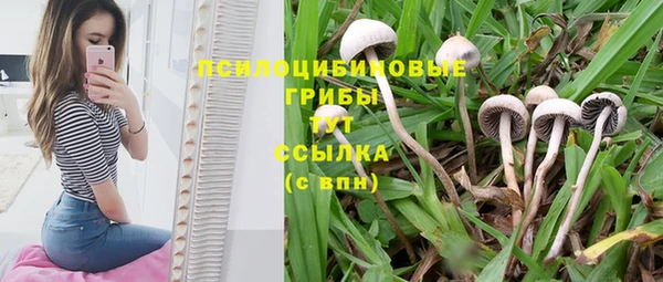 бошки Алексин