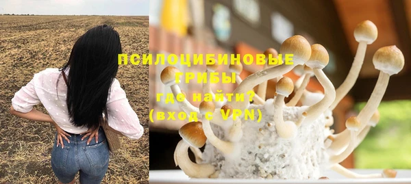 шишки Няндома