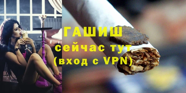 хмурый Алзамай
