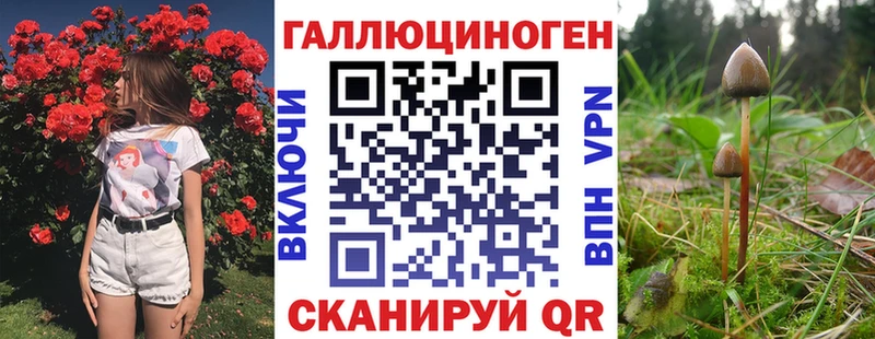 Псилоцибиновые грибы MAGIC MUSHROOMS  наркота  Нижний Тагил 