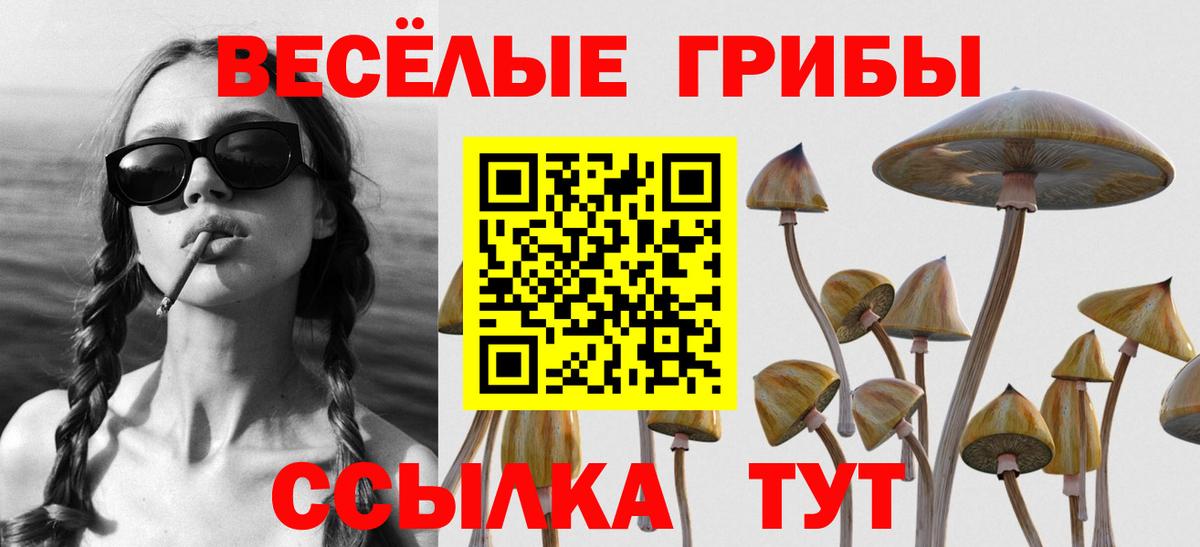 Нижний Тагил  Галлюциногенные грибы ЛСД  Вход с VPN 